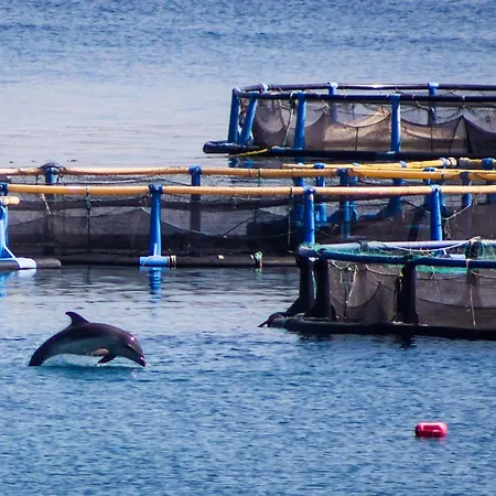 高尔夫酒店 酒店 *