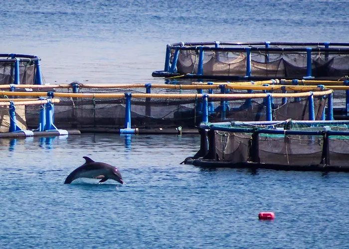 Du Golfe ホテル *